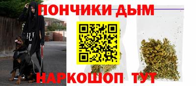 прущие грибы Лесосибирск