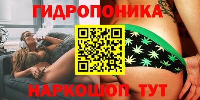 прущие грибы Лесосибирск