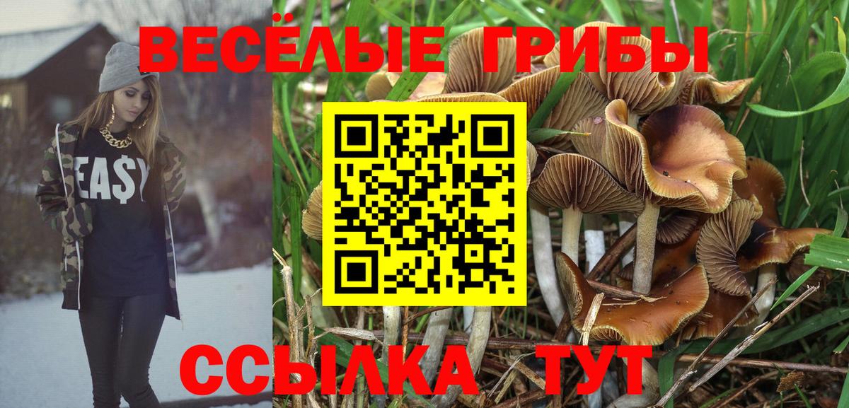 Жигулёвск  Галлюциногенные грибы Cubensis  Вход с VPN  Псилоцибиновые грибы Cubensis 